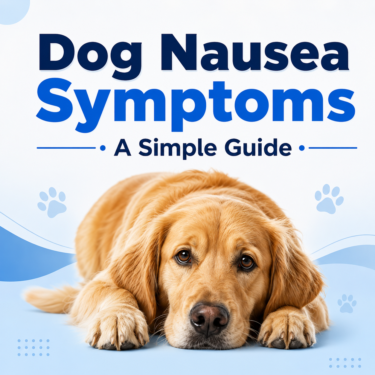 Dog Nausea Symptoms: A Simple Guide