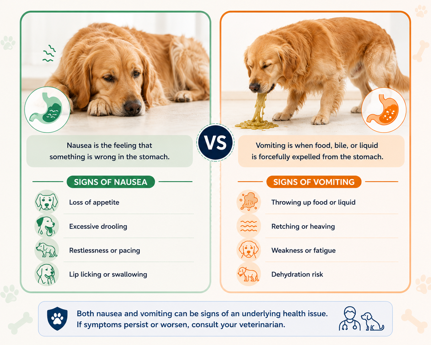 Dog Nausea Symptoms: A Simple Guide