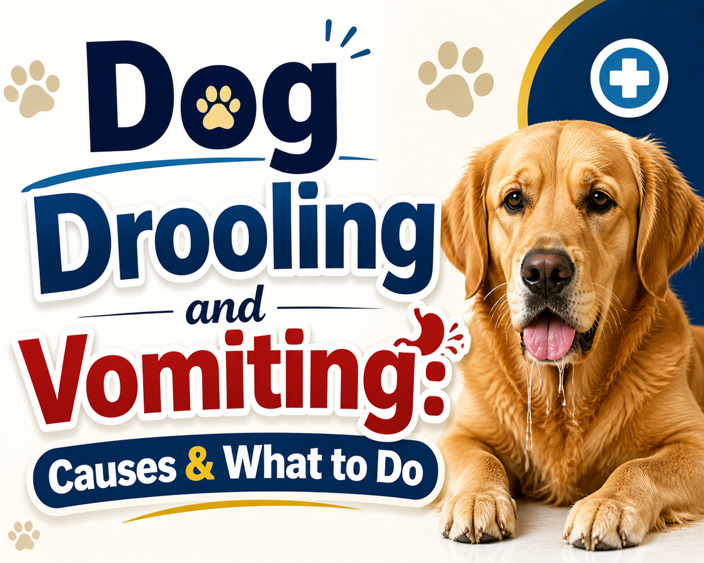 Dog Drooling and Vomiting